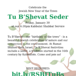 Tu B'Shevat Seder and Kabbalat Shabbat