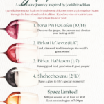 Sommelier Series
